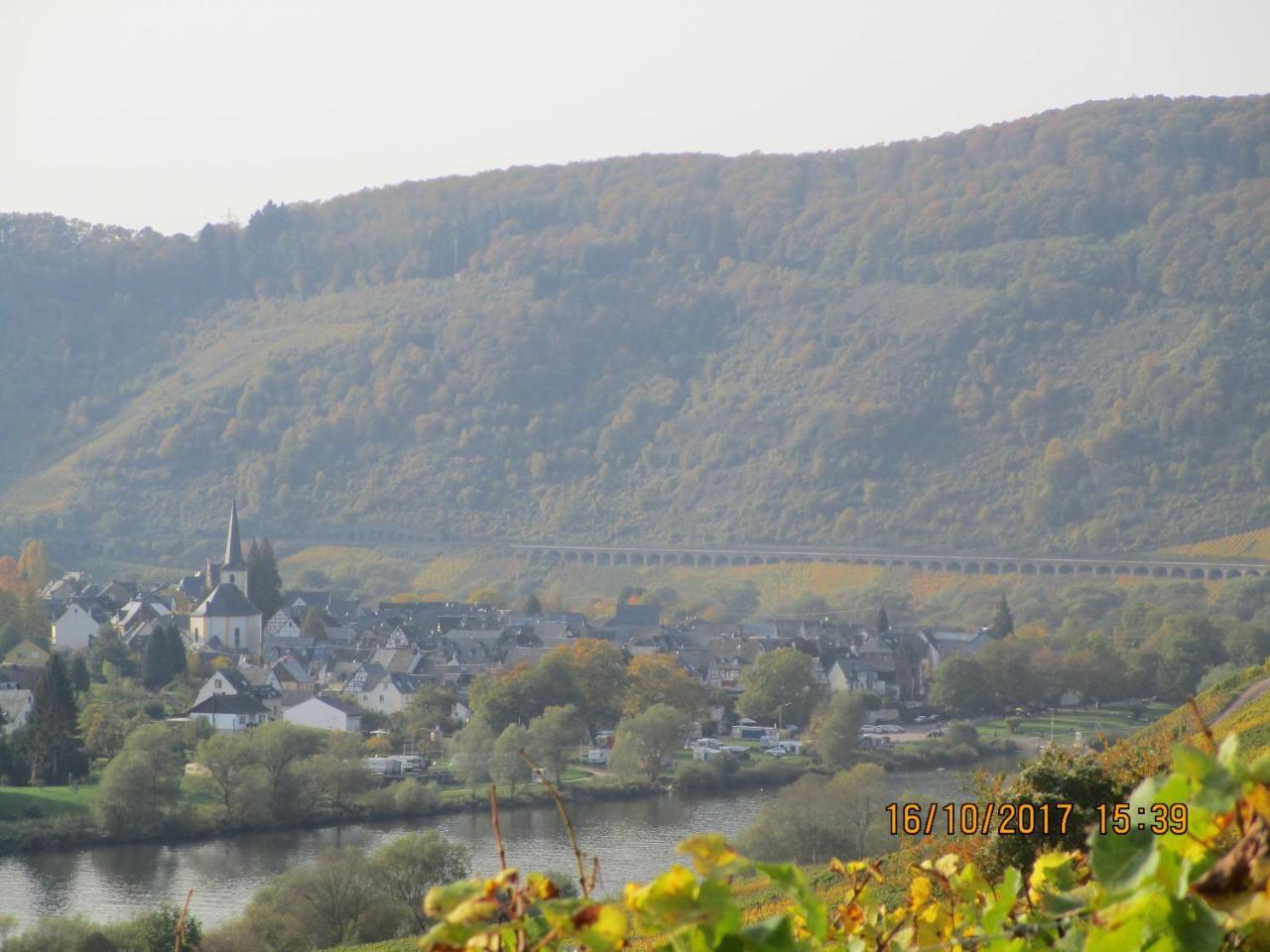 Residenz Moselstausee Санкт-Альдегунд Экстерьер фото